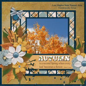 AUTUMN is a second Spring ...