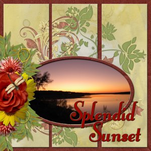 Splendid Sunset