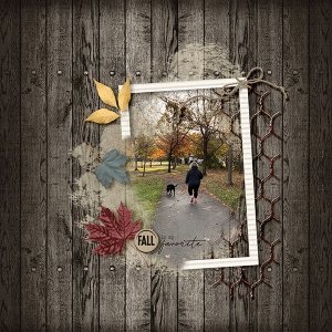 Fall Is My Favorite