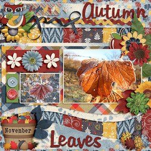 Autumn Leaves