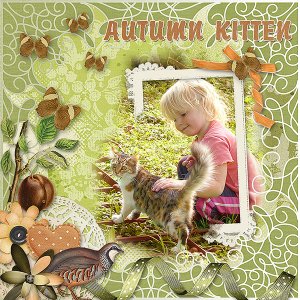 Autumn Kitten