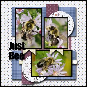 Just Bee