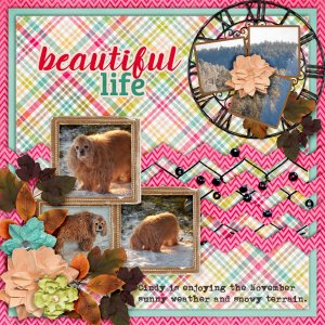 Beautiful-life5