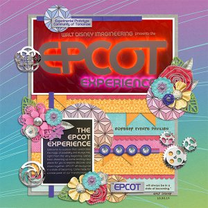 EPCOT Experience