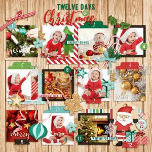 twelve days of Christmas