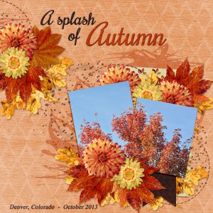 A splash of Autumn