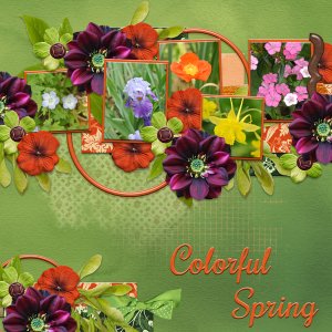 Colorful Spring
