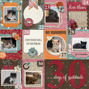 30 Days Of Gratitude