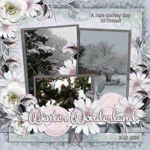 Winter Wonderland