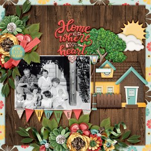 Home-is-where-your-heart-is