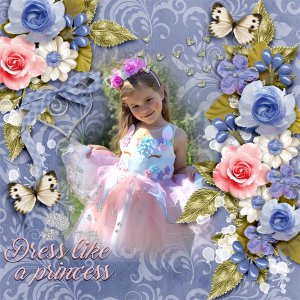 Dress-like-a-princess