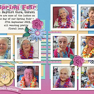 Spring Fair