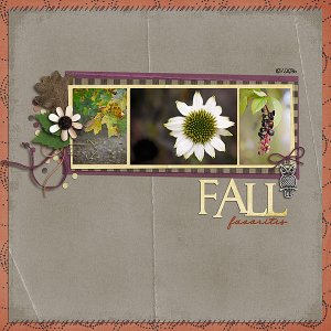 Fall Favorites