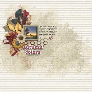Autumn Colors