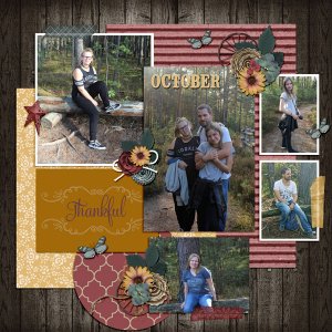 our walk through the woods