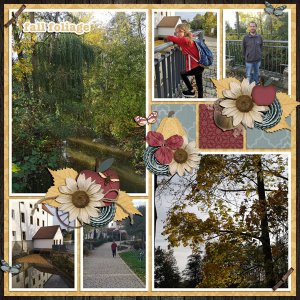 autumn colors