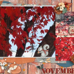 Hello 2020 November