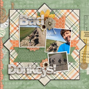 Bad Donkeys!!