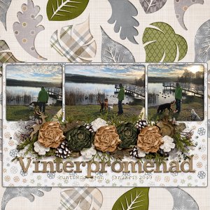 Winter Walk