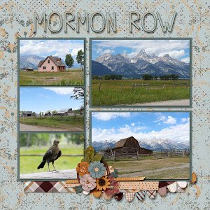Mormon Row