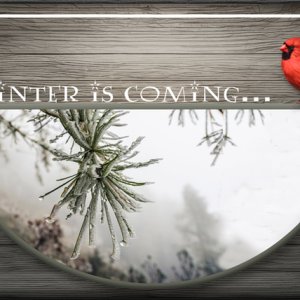 ATC 2019-129 Winter is Coming