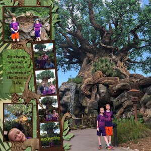 2018 02 Tree of Life