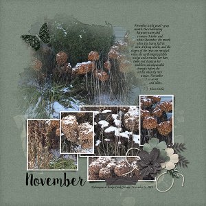 November
