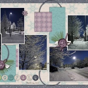 Snowfall