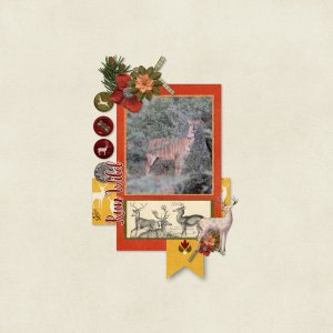 Run_wild1