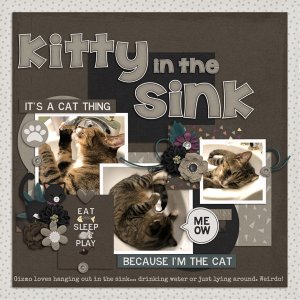 Kitty in the Sink