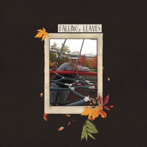 Falling Leaves