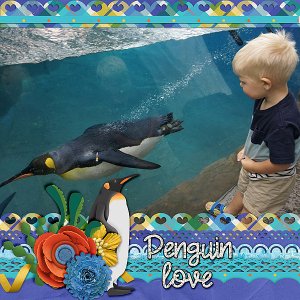 h-penguin-love-swim