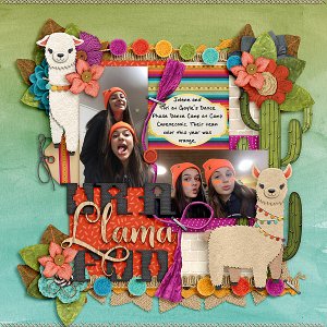 UR A Llama FUN