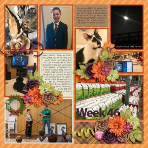 Week 46, 2019