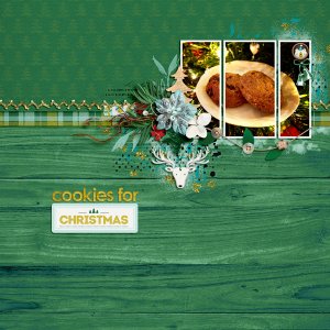 Cookies for Christmas