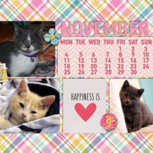 November 2019 Desktop Challenge