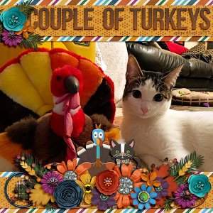 couple of turkeys