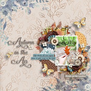 Autumn in the Air