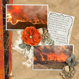 Bush Fires