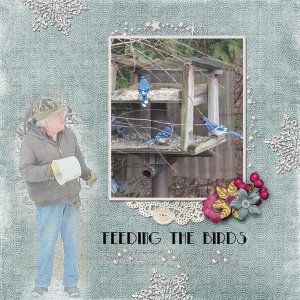 Feeding the Birds