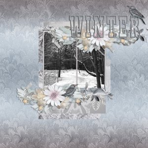 WINTER