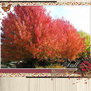FallColors1