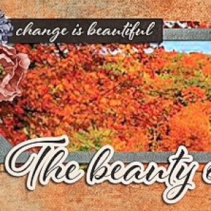 Facebook cover photo
