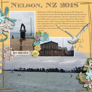 Nelson NZ