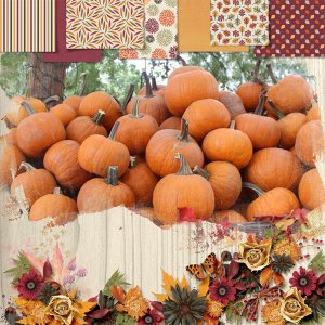 Fall Harvest