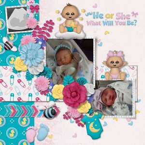 Boy or Girl by Boomersgirl Designs