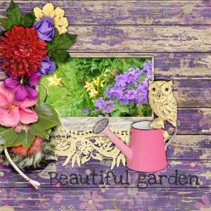 Beautiful-garden