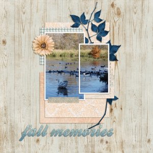 Fall memories