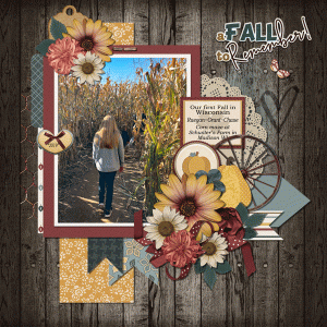 First Fall I WI