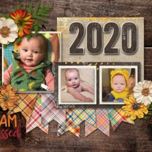 2020 Calendar